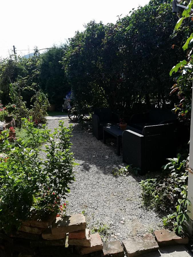 Haus Daniela Lejlighed Klagenfurt am Woerthersee Eksteriør billede